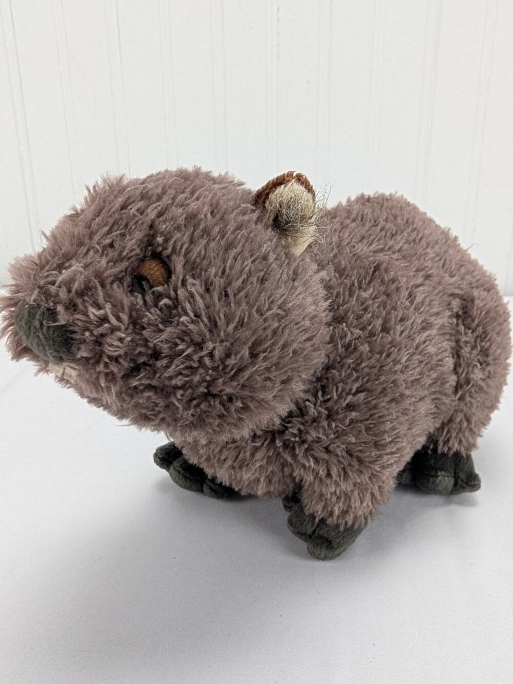 Ganz Webkinz Wombat Plush 9" Realistic Stuffed Animal HM429 No Code
